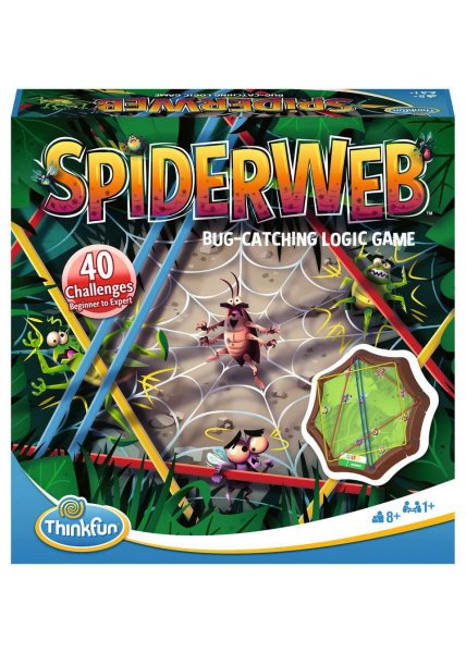 Spiderweb oos